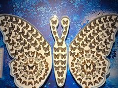 -北京麋鹿生态实验中心