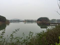 -上海市保健医疗中心(华东疗养院)