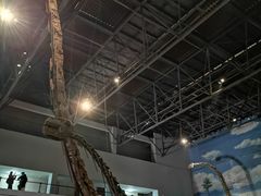 -自贡恐龙博物馆