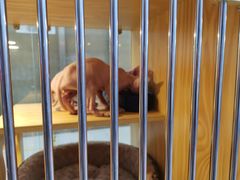 -三旗百汇商品城