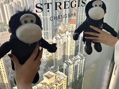 -Social 秀西餐厅-长沙瑞吉酒店(运达店)