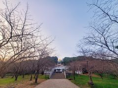 -苏州上方山国家森林公园