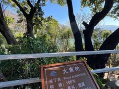 -南诏风情岛
