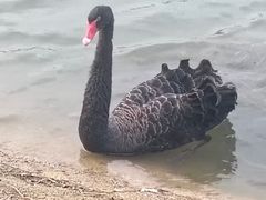 -瑶湖湿地自然保护区