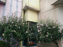 -泰安方特欢乐世界