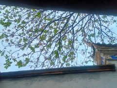 -乌山风景区