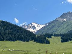 -新疆那拉提国家旅游度假区