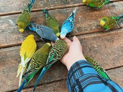 -南宫五洲植物乐园