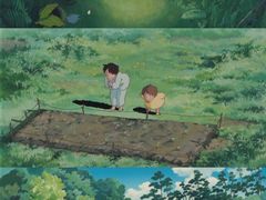 -石排湾郊野公园