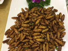 -瑞记湛江鸡饭店·粤西第一鸡(粤垦店)