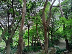 -叶家花园