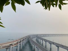 -星海湾跨海大桥