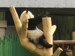 -沈阳森林动物园