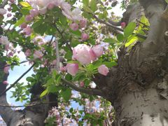 -元大都城垣遗址公园