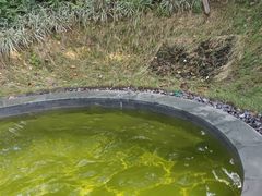 -美的鹭湖森林度假区