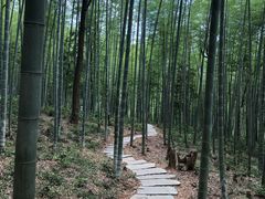 -大余丫山旅游度假区