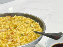 -丁老爷子苏香圆