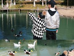 -乌村