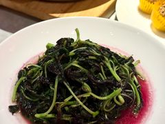 -天辣(金桥啦啦宝都店)