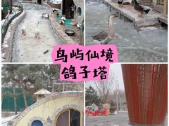 -南宫五洲植物乐园