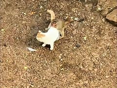 -昆明动物园