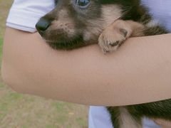 -钟山体育运动公园