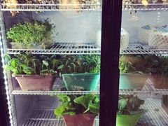 -东椰·海南椰子鸡火锅(朝阳门店)