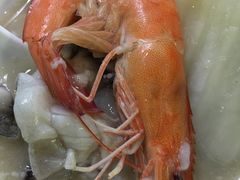 -蚝专家