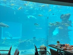 -涛·海底餐厅·美人鱼·自助餐·海底隧道(三亚海棠湾洲际度假酒店)