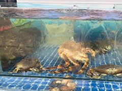 -红月湾海鲜饭店•沙滩海景(双月湾店)