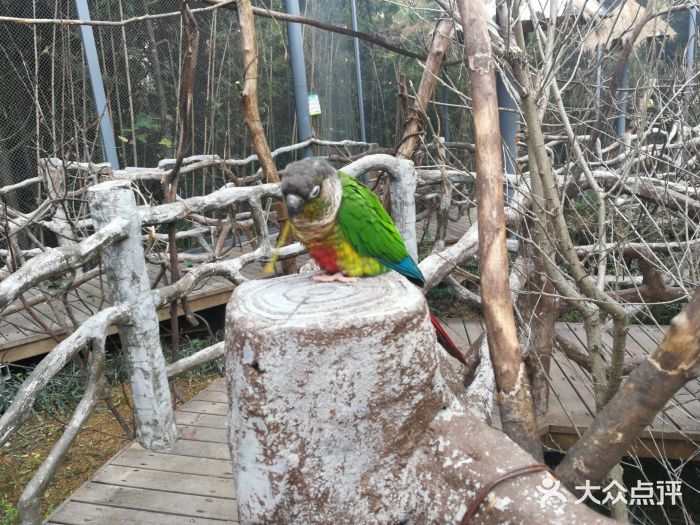 南京市紅山森林動物園圖片