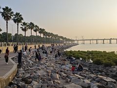 -宝安西湾红树林湿地公园