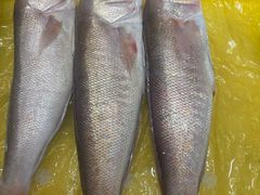 -拉完海鲜大排档(温岭店)