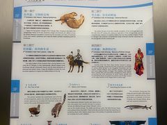 -四川大学博物馆