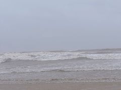 -日照海滨国家森林公园