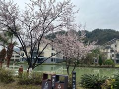 -明月山天沐温泉度假村