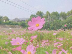 -艾溪湖湿地公园