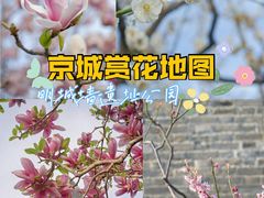 -北京明城墙遗址公园