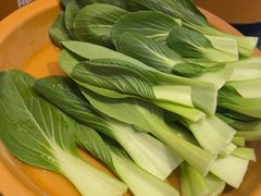 -龍歌自助小火锅(市北CBD万达店)