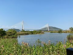 -芒洲湿地公园