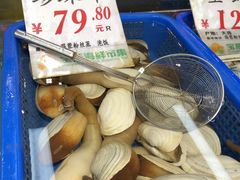 -宝燕海货工场(长江国际店)
