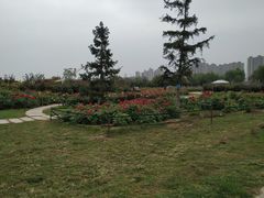 -咸阳湖景区-统一广场