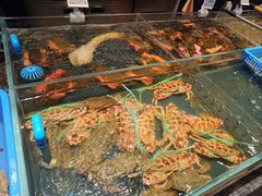 -渔傅印象滩涂霞浦海鲜(井大路店)