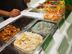 自助取餐区-Salud撒露欧洲冻酸奶(蓝色港湾店)