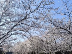 -玄武湖景区-情侣园游乐场