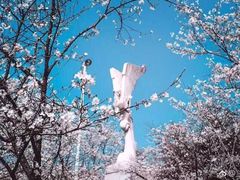 -武汉大学-樱园