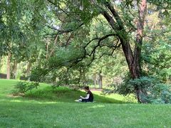 -长白岛森林公园