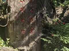 -广州市白云山风景名胜区