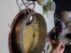 -洪氏嗨捞·猪肚鸡火锅(阳光天地店)