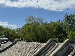 -信园